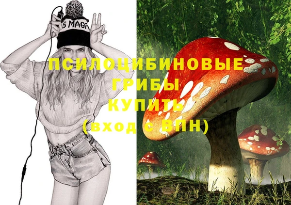 экстази Алексеевка