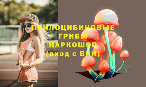 дмт Михайловск