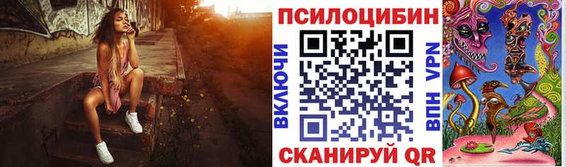 Псилоцибиновые грибы Cubensis  где найти   Балаково 